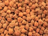 Chickpeas(चना)(Large)