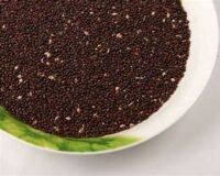 Millet(कोदो)