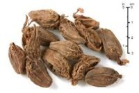 Cardamom(अलैंची)